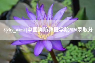 十堰中国消防救援学院2020录取分