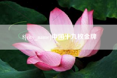 十堰中国十九枚金牌