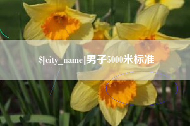 十堰男子5000米标准
