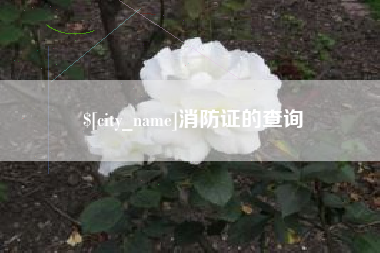 十堰消防证的查询