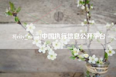 十堰中国执行信息公开平台