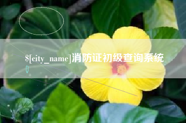 十堰消防证初级查询系统