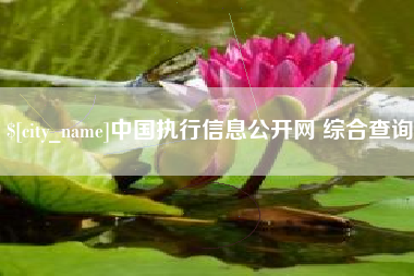十堰中国执行信息公开网 综合查询
