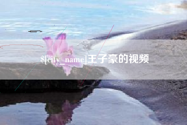十堰王子豪的视频
