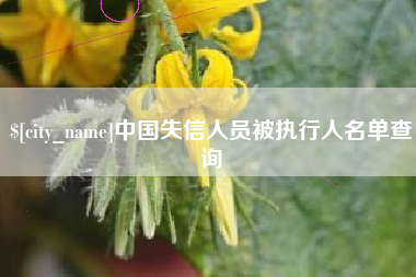 十堰中国失信人员被执行人名单查询