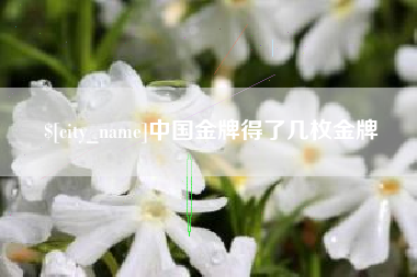 十堰中国金牌得了几枚金牌