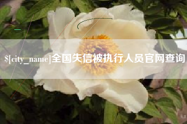 十堰全国失信被执行人员官网查询
