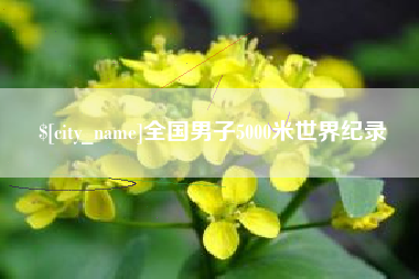 十堰全国男子5000米世界纪录