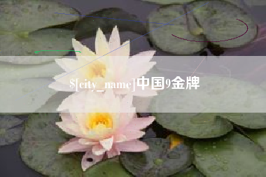 十堰中国9金牌