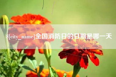 十堰全国消防日的日期是哪一天