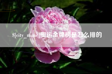 十堰奥运金牌榜是怎么排的