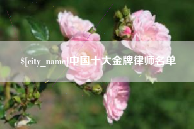 十堰中国十大金牌律师名单
