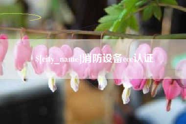 十堰消防设备ccc认证