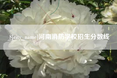 十堰河南消防学校招生分数线