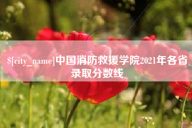 十堰中国消防救援学院2021年各省录取分数线