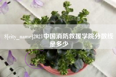 十堰2021中国消防救援学院分数线是多少