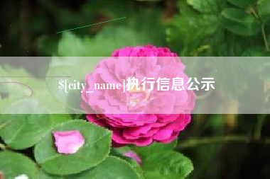 十堰执行信息公示