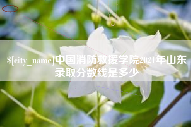 十堰中国消防救援学院2021年山东录取分数线是多少