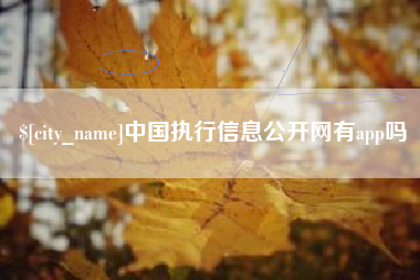 十堰中国执行信息公开网有app吗