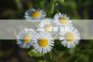 十堰成都 消防