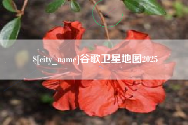 十堰谷歌卫星地图2025