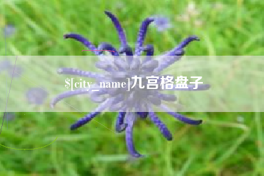 十堰九宫格盘子