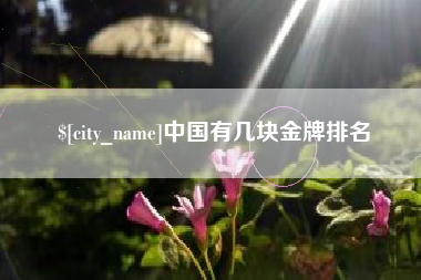 十堰中国有几块金牌排名