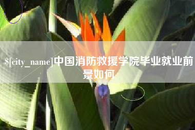 十堰中国消防救援学院毕业就业前景如何