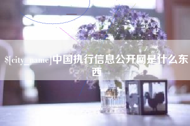 十堰中国执行信息公开网是什么东西