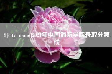 十堰2021年中国消防学院录取分数线