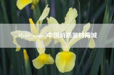 十堰中国消防器材商城