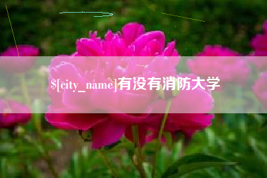 十堰有没有消防大学