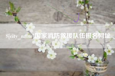 十堰国家消防救援队伍报名网址