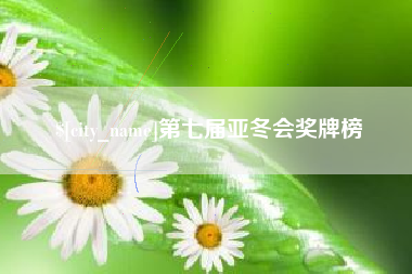 十堰第七届亚冬会奖牌榜