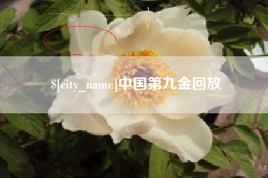 十堰中国第九金回放