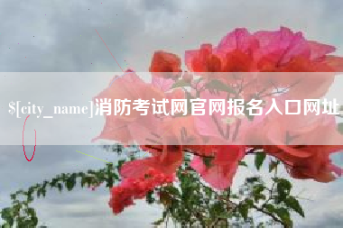 十堰消防考试网官网报名入口网址