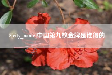 十堰中国第九枚金牌是谁得的