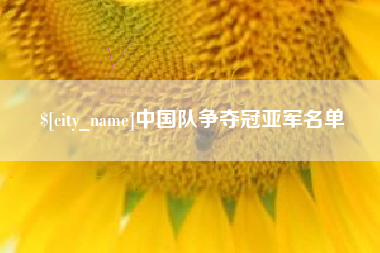 十堰中国队争夺冠亚军名单