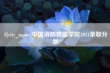 十堰中国消防救援学院2021录取分数