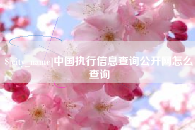 十堰中国执行信息查询公开网怎么查询