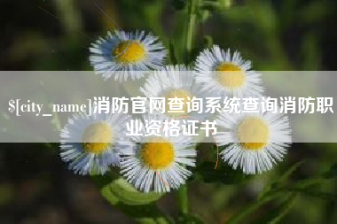 十堰消防官网查询系统查询消防职业资格证书