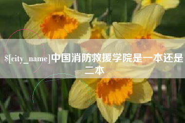 十堰中国消防救援学院是一本还是二本