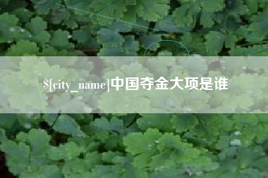 十堰中国夺金大项是谁