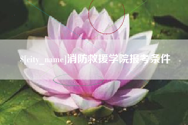 十堰消防救援学院报考条件