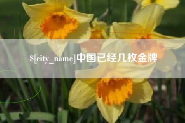 十堰中国已经几枚金牌