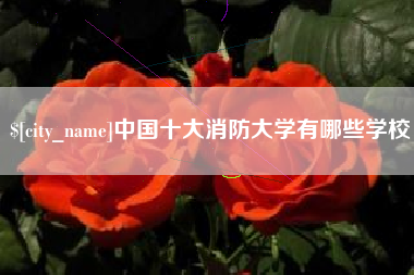 十堰中国十大消防大学有哪些学校