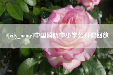 十堰中国消防中小学公开课回放