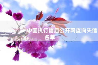 十堰中国执行信息公开网查询失信名单