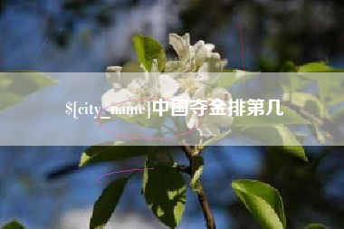 十堰中国夺金排第几