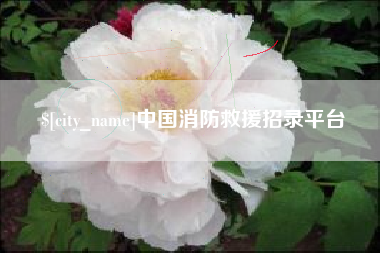 十堰中国消防救援招录平台